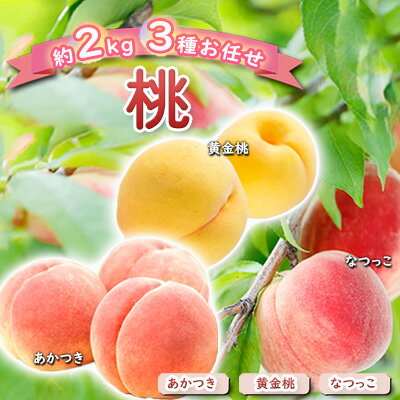 【ふるさと納税】桃 約2kg 3種お任せ あかつき なつっこ 黄金桃 果物 もも 3種類 白桃 黄桃 産地直送 長野県 小諸市 　お届け：2026年8月上旬～8月下旬