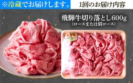 【6回定期便】 ※冷蔵配送/地域限定※ 飛騨牛 切落し (ロースまたは肩ロース) 600g 瑞浪市 / きなぁた瑞浪&nbsp;和牛 国産 岐阜県産[AZCI078]