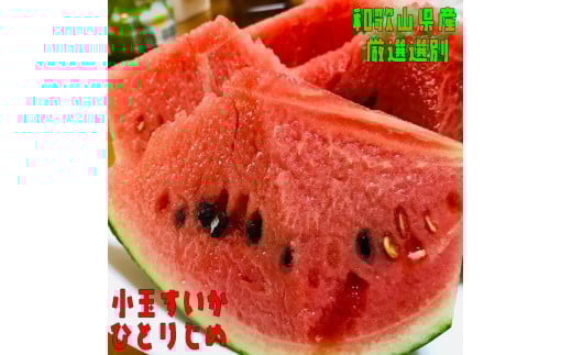 厳選！小玉すいか『ひとりじめ』【M】２玉入り