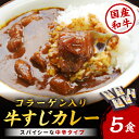 【ふるさと納税】[博多和牛]ゴロッ!と入ったコラーゲン牛すじカレー5食【001-0085】