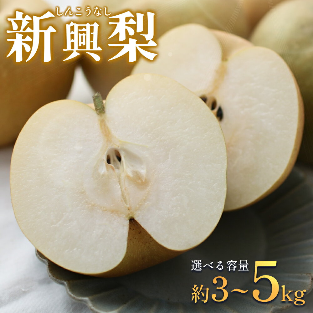 【ふるさと納税】【先行予約】新興梨（しんこうなし） 3～5kg｜鳥取 果物 フルーツ なし 梨 選べる内容量 5kg 4kg 3kg