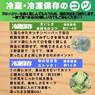 ふるさと納税 愛南町 ブロッコリー 約2kg 産地直送 農家直送 朝採れ 当日 発送 愛媛県 愛南町 愛なんよ |  | 03
