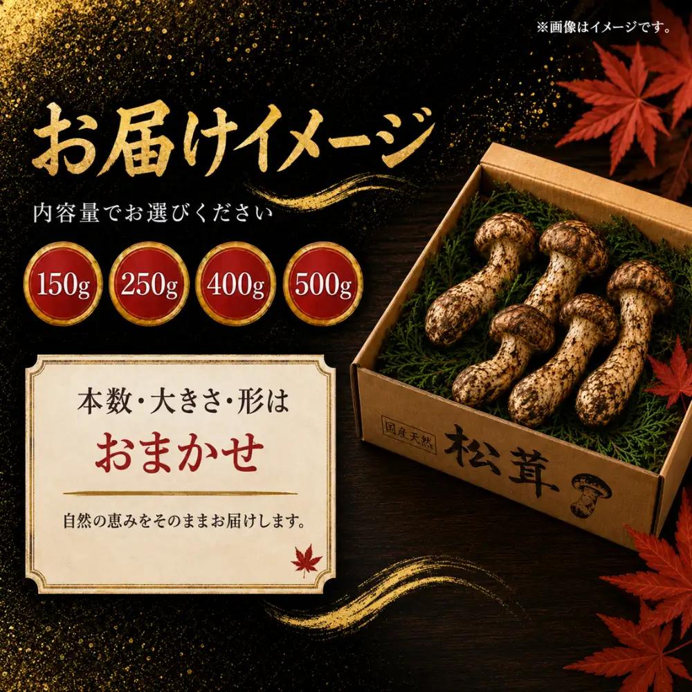 【先行予約】まつたけ 400g 岩手町産 天然 まつたけ