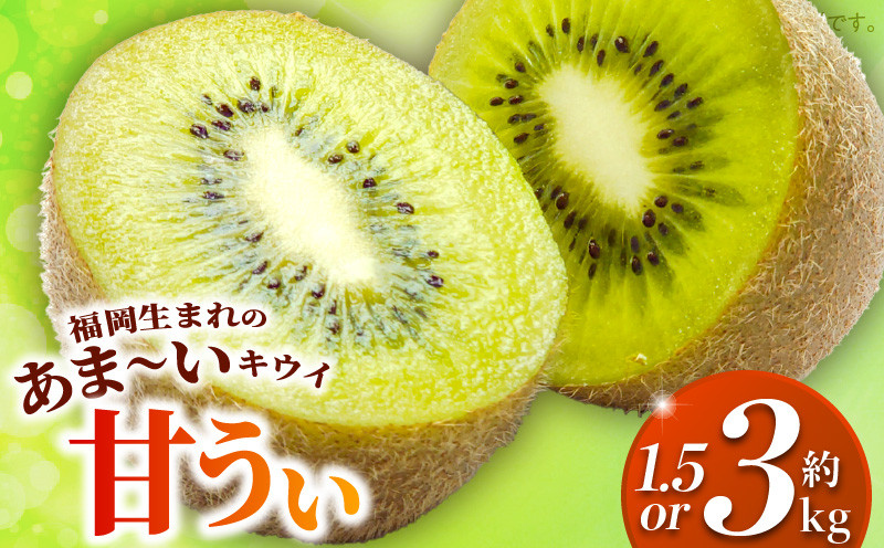 
                  甘うぃ 箱_甘い キウイ 甘うぃ キウイフルーツ 選べる 内容量 約1.5kg 約3kg 国産 甘みの強い 果実 黄色味 福岡 オリジナル品種 濃厚 まろやか 高糖度 フルーツ 果物 ヨーグルト スムージー ジュース デザート 福岡県 久留米市 お取り寄せ お取り寄せフルーツ 送料無料_Fx018-sku
                