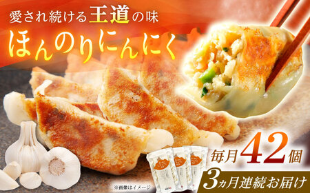 【全3回定期便】【3パック】餃子屋ヒロの ほんのりにんにく餃子 ぎょうざ[BDAS013]