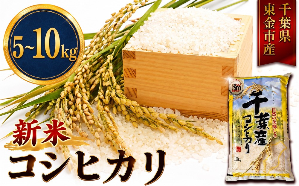 
                  新米 こしひかり 5kg ~10kg 米 お米 こめ コメ コシヒカリ 8年度産 千葉県産 kome okome 精米 白米 ご飯 ごはん 備蓄米 国産 炊飯 ※ ブランド米 甘い ツヤ ギフト 贈答 甘み 粘り 香り リピート 冷めても美味しい kosihikari 農家直送 数量限定 産地直送 前嶋商店 千葉県 東金
                
