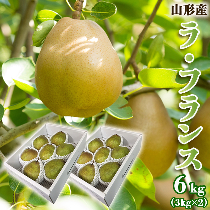 山形のラ・フランス 秀 約6kg(12～18玉・3L～6L)[12月発送]【令和8年産先行予約】 FS25-785