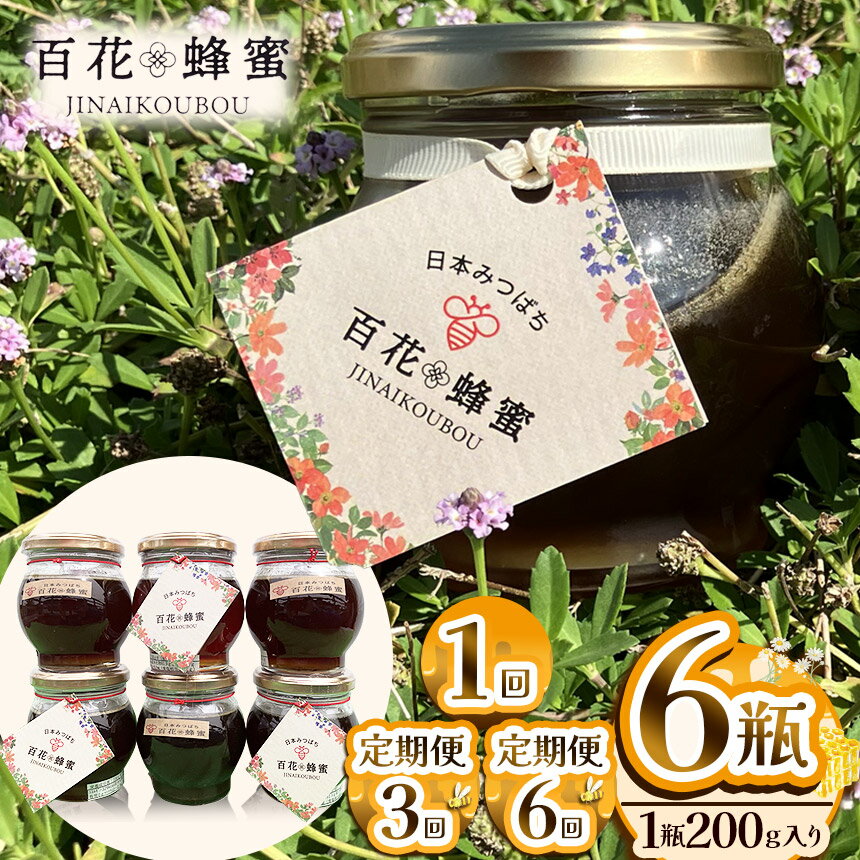 【ふるさと納税】 はちみつ 日本蜜蜂の百花蜂蜜 6瓶 定期便 限定 【選べる定期便】【数量限定】| はちみつ ハチミツ ミツバチ 濃厚 シロップ 無添加 栃木県 下野市 送料無料