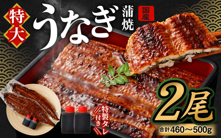 国産 うなぎ 蒲焼 2尾 （460g～ 500g）と 特製タレ 2個 セット 鰻 ウナギ 蒲焼き うなぎ蒲焼 セイロ蒸し せいろ蒸し タレ付 冷凍 父の日