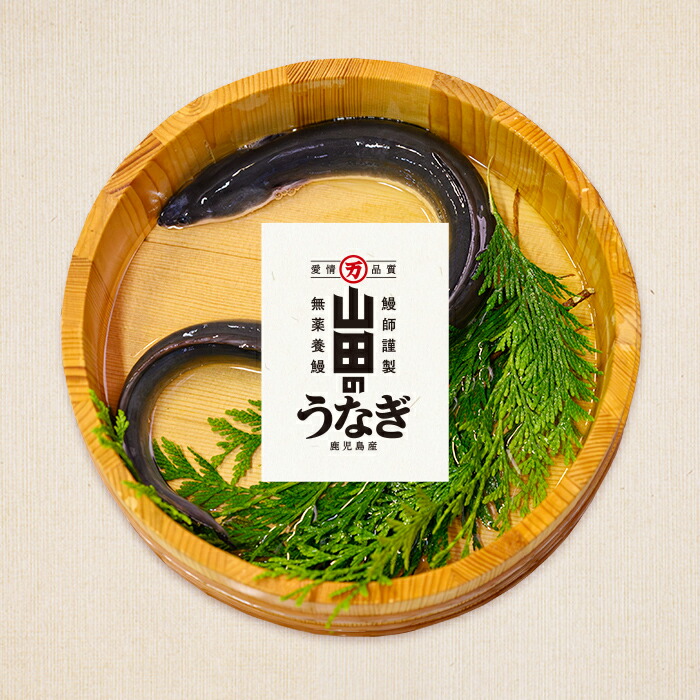 【ANA限定】【数量限定】超特大！鹿児島県産 山田のうなぎ (計460g以上・236g以上×2尾) うなぎ 鰻 ウナギ 2尾 国産 九州産 蒲焼き かばやき 冷凍 うな重 ひつまぶし タレ 山椒 ラン