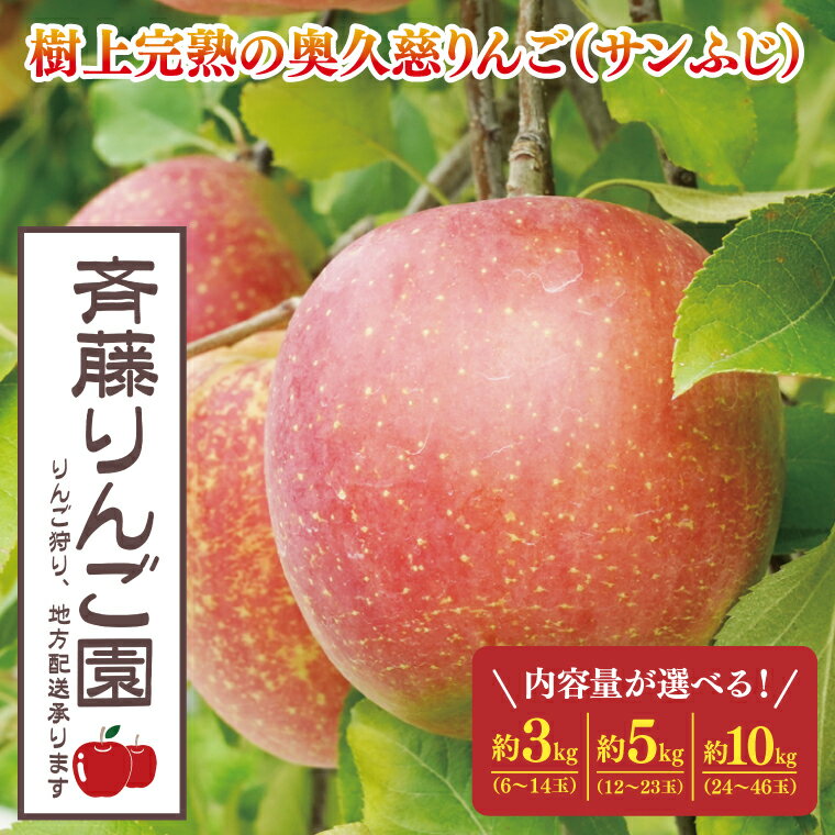 【ふるさと納税】【数量限定/先行予約】樹上完熟の奥久慈りんご「サンふじ」約3kg（6～14玉）or 約5kg（12～23玉）or 約10kg（24～46玉）【2025年11月上旬頃より順次発送予定】斉藤りんご園第2直売所｜茨城県 大子町 林檎 果物 フルーツ 旬（CG007-1）