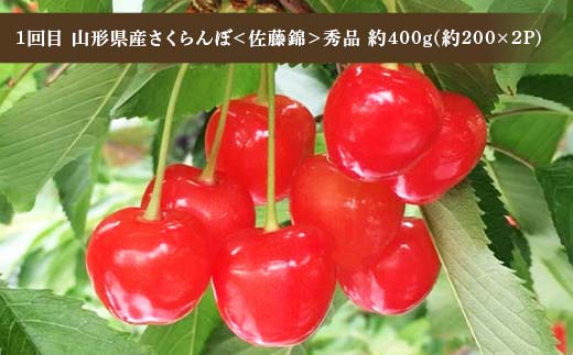 令和8年6月発送開始 山形県 厳選のフルーツ！ 山形県旬のフルーツ定期便Ｂ全3回 佐藤錦 白桃 ラフランス 期間限定 数量限定 山形県産 サクランボ 桃 梨 フルーツ 果物 くだもの 贈答 F4A-0