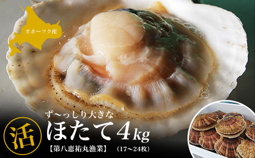オホーツク産 『活』 ほたて 4kg（17～24枚） SRMN015 4kg