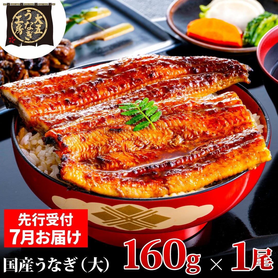 【ふるさと納税】先行受付 【7月上旬配送】 うなぎ蒲焼 160g×1尾 うなぎ 鰻 蒲焼 蒲焼き 大五通商 静岡 島田市　お届け：2025年7月1日～2025年7月10日