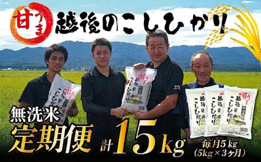 【令和7年産 定期便3ヵ月】定期便 コシヒカリ 無洗米 5kg 3ヵ月 15kg 令和7年産 甘うま越後の こしひかり 米 お米 こめ 新潟米 新潟県産 新潟産 新潟 新潟県 新発田産 新発田 新発田市 斗伸 toushin044
