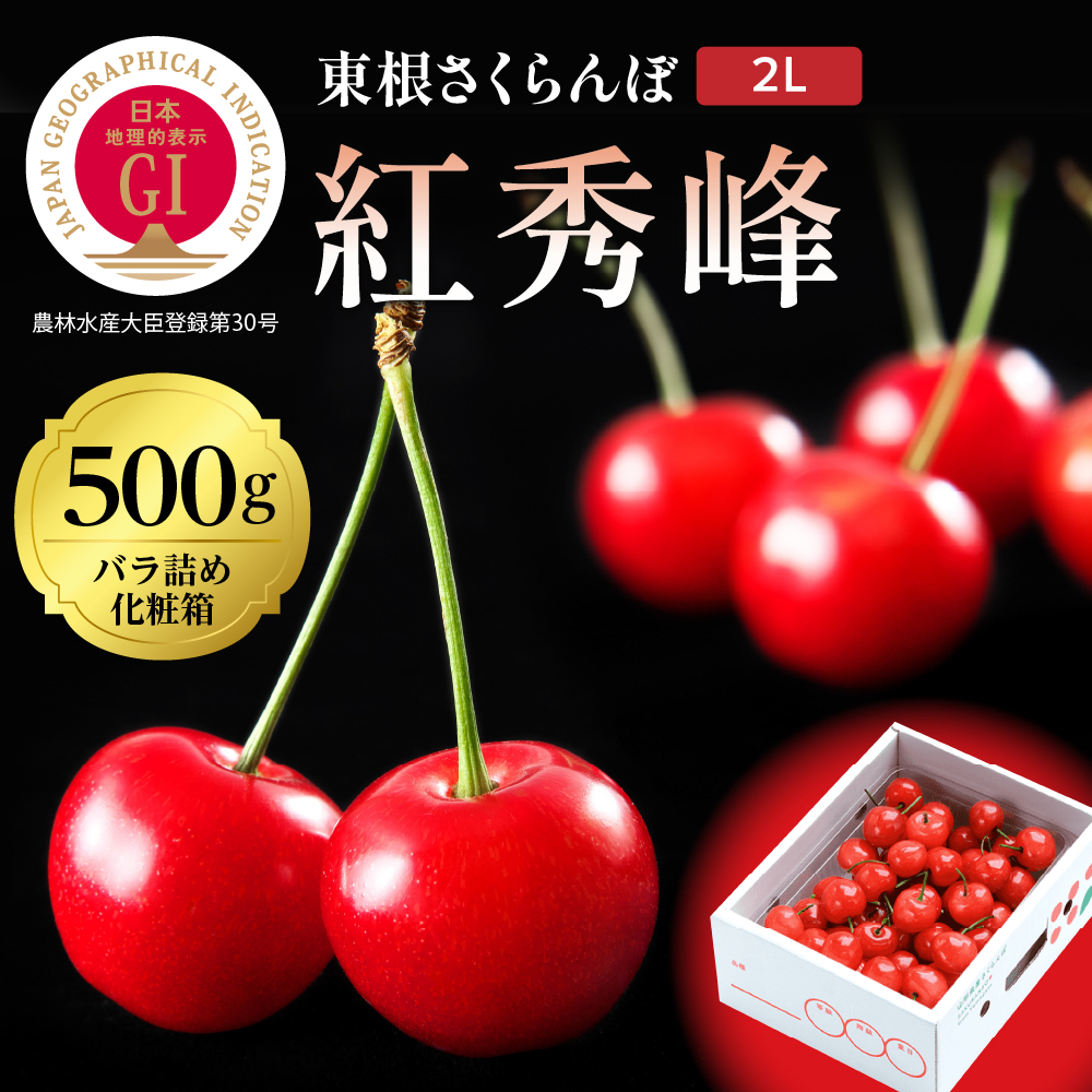 2025年GI東根さくらんぼ 紅秀峰 500gバラ詰め(2L) 東根農産センター提供　hi027-176-1