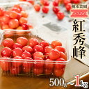 【ふるさと納税】 【令和7年産先行予約】さくらんぼ 紅秀峰 バラ詰め［500g～1kg］ 山形県 鶴岡市産　榎本菜園　K-732・K-745・K-763