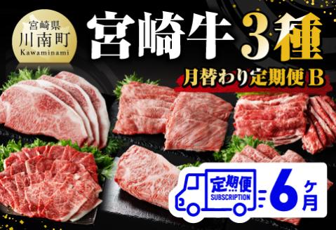 【 6ヶ月定期便 】 宮崎牛 3種 月替わり 定期便B 全6回　牛肉[E11013t6]