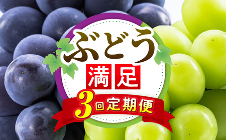 ぶどう満足 3回定期便 | フルーツ定期便 ぶどう 定期便 果物 フルーツ デザート ピオーネ シャインマスカット マスカット 果肉 スイーツ 甘い 国産 贈り物 贈答 プレゼント 期便 フルーツ定期便 人気 おすすめ 果物定期便 季節 旬 旬の果物 香川県 三木町 送料無料 |_mk006-t014