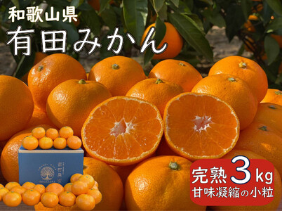 先行予約 和歌山県 完熟 有田みかん 3kg 甘味凝縮 小粒 産直44年 武内園