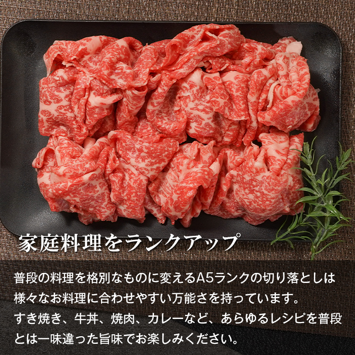 【定期便12ヶ月】A5ランク 淡路島産黒毛和牛 切り落とし 500g 切り落し