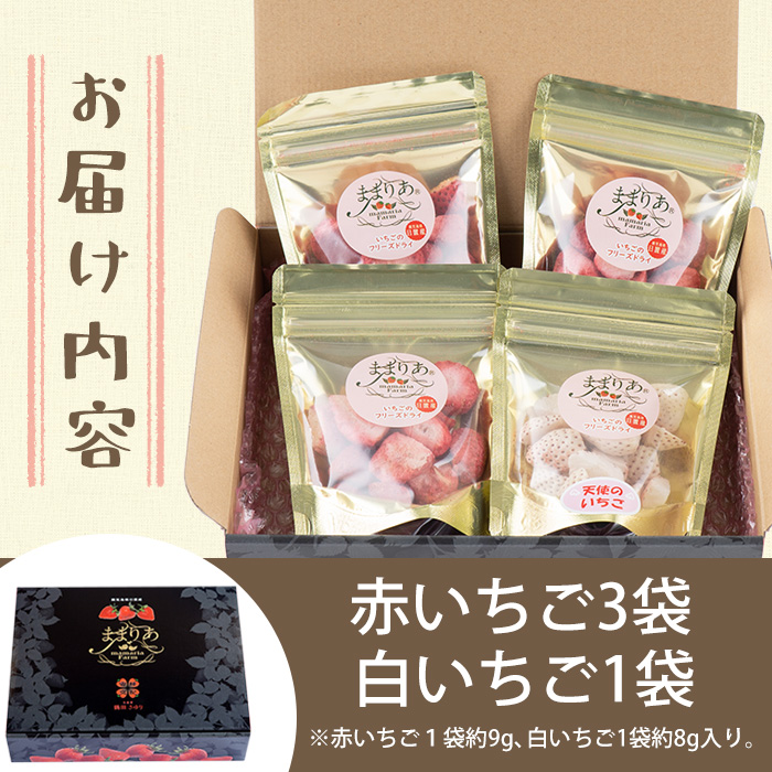 No.464 いちごのフリーズドライセット(赤いちご9g×3袋・白いちご8g×1袋) 【ままりあ農園】
