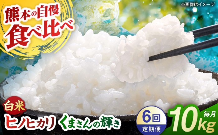 
                  【先行予約】【6回定期便】食べ比べ くまさんの輝き ヒノヒカリ 白米  10kg（5kg×2袋） 山鹿市産【奥村果実園】 [ZFK026]
                