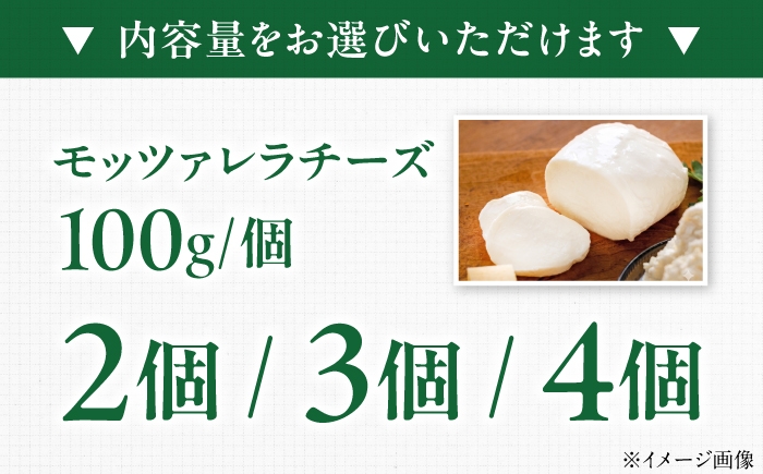 チーズ モッツアレラチーズ 愛媛県 伝統製法 おつまみ 乳製品 モッツァレラチーズ モッツァレラ フレッシュチーズ カプレーゼ