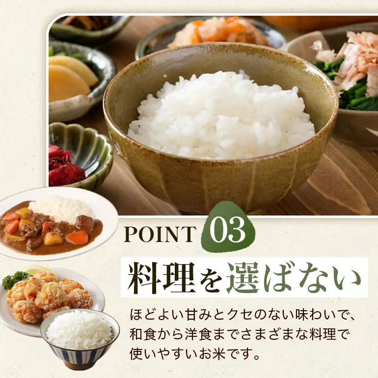 【3回定期便】 ひのひかり 米 お米 玄米 20kg 令和8年産 新米 【JA福岡くるめ にじの耳納の里】 A01-011-BW03-320