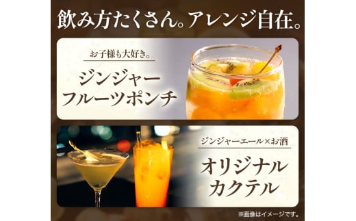 ジンジャーエール 250ml×30缶 光食品株式会社《30日以内出荷予定(土日祝除く)》徳島県 上板町 ジュース 炭酸水 光食品 ジンジャーエール オーガニック 有機 k-3