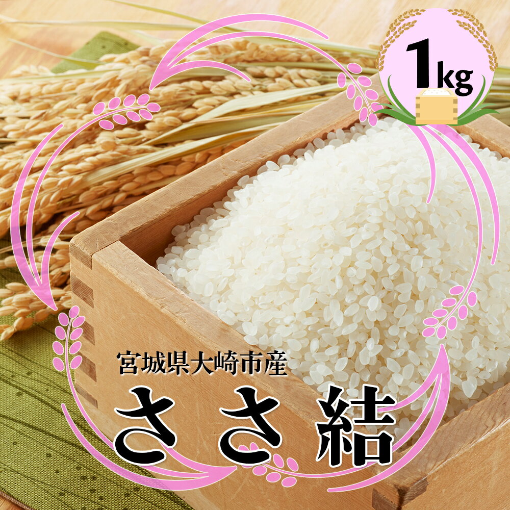 【ふるさと納税】宮城県産ブランド米 令和7年産 ささ結 1kg｜炊きたてはもちろん冷めても美味しい白米