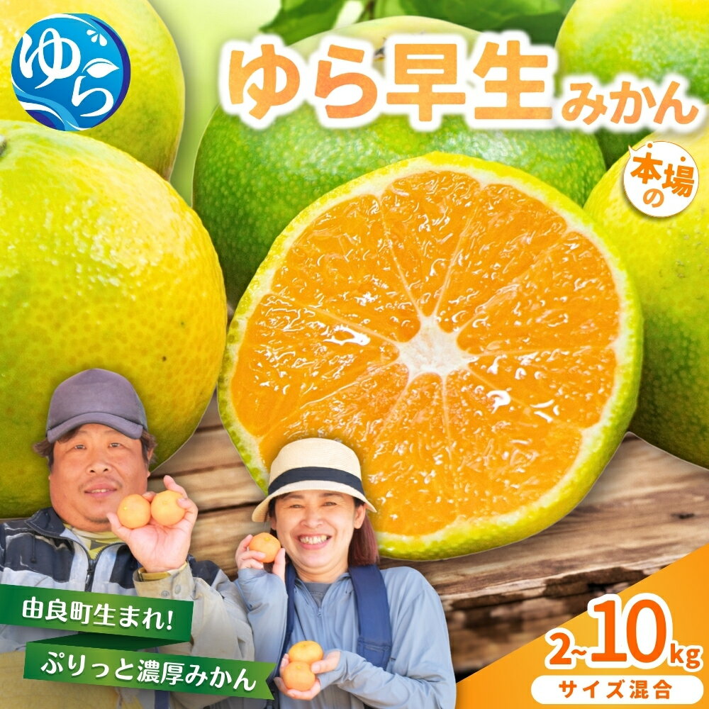 【ふるさと納税】 みかん ゆら早生 / 2kg 4kg 5kg 7.5kg 10kg 極早生 早生 温州みかん 和歌山 柑橘 由良町 農家直送 ※2025年10月中旬～10月下旬順次発送農家直送 //yurawase