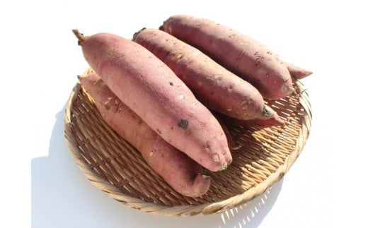 
                  J01-002 長生村産生さつまいも 紅はるか 10kg
                