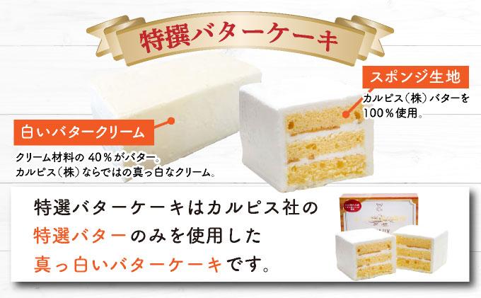 ＜定期便・全3回＞焼き菓子 3種セット 計7点【VISAVIS】|焼菓子 ヴィザヴィ お菓子 菓子 スウィーツ スイーツ バターケーキ チョコ チョコレート レモンケーキ 送料無料 福岡県 那珂川市 