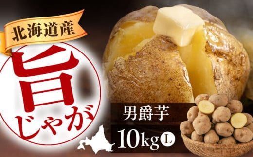 
            【先行予約】 北海道産 じゃがいも 男爵芋 10kg ※2025年9月下旬以降順次発送 《喜茂別町》【Aコープようてい】 じゃがいも ジャガイモ 新じゃが 男爵 男爵芋 ポテト 芋 じゃが芋 旬 イモ 野菜 農作物 期間限定 ほくほく しっとり 産地直送 旬 お取り寄せ 北海道 北海道のジャガイモ 食品 根菜 産直 国産 常備野菜 常温  [AJAK008] 8000 8000円 8千円
          
