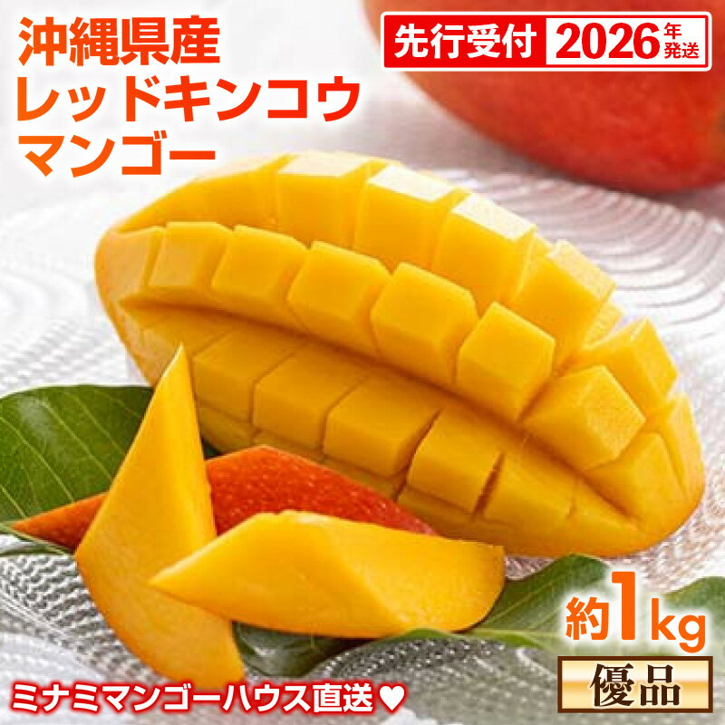 【ふるさと納税】【先行受付】【2026年発送】ミナミマンゴーハウスの赤金煌(レッドキンコウ）マンゴー約1kg【優品】 - 先行予約 沖縄県産 産地直送 南国フルーツ 旬の味覚 希少種 希少栽培 オススメ 沖縄県 八重瀬町