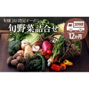 【ふるさと納税】【全12回定期便】 旬の 野菜セット | 人気 おすすめ ランキング おいしい 大洲市/ヒロファミリーフーズ [AGBX005] 300000 30万円 以下