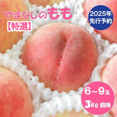 【ふるさと納税】【2025年発送分 先行予約】【朝採れももを直送！】【7月以降発送予定】【特選】フルーツ王国やまなし 小林農園の桃（6〜9個入り/3kg前後）桃 モモ もも ピーチ 3kg フルーツ 果物 山梨 富士川町 甘い 夢みずき 浅間白桃 なつっこ 川中島白桃 一宮水蜜 白秋