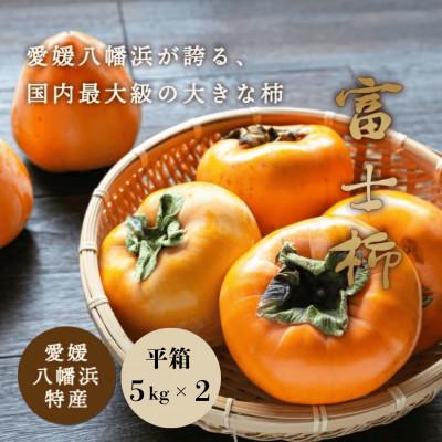 ふるさと納税 八幡浜市 《八幡浜特産 国内最大級の 柿》 富士柿 10kg (5kg×2箱)種無し【H20-37】