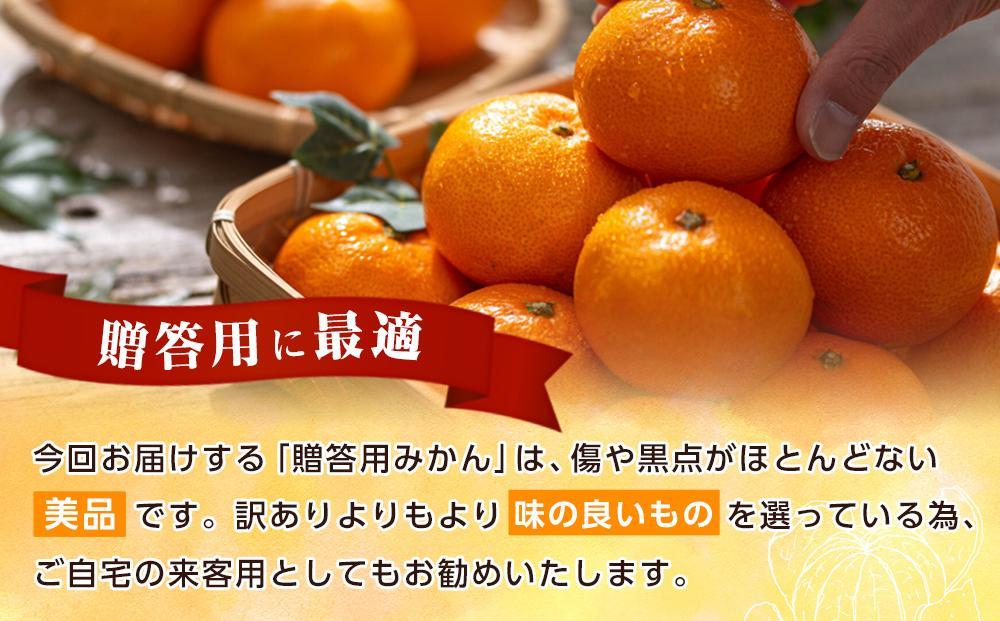 和歌山県産 糖度 12.5度以上 秀品 贈答用 みかん 3kg 3S～L サイズ混合 【MG54】