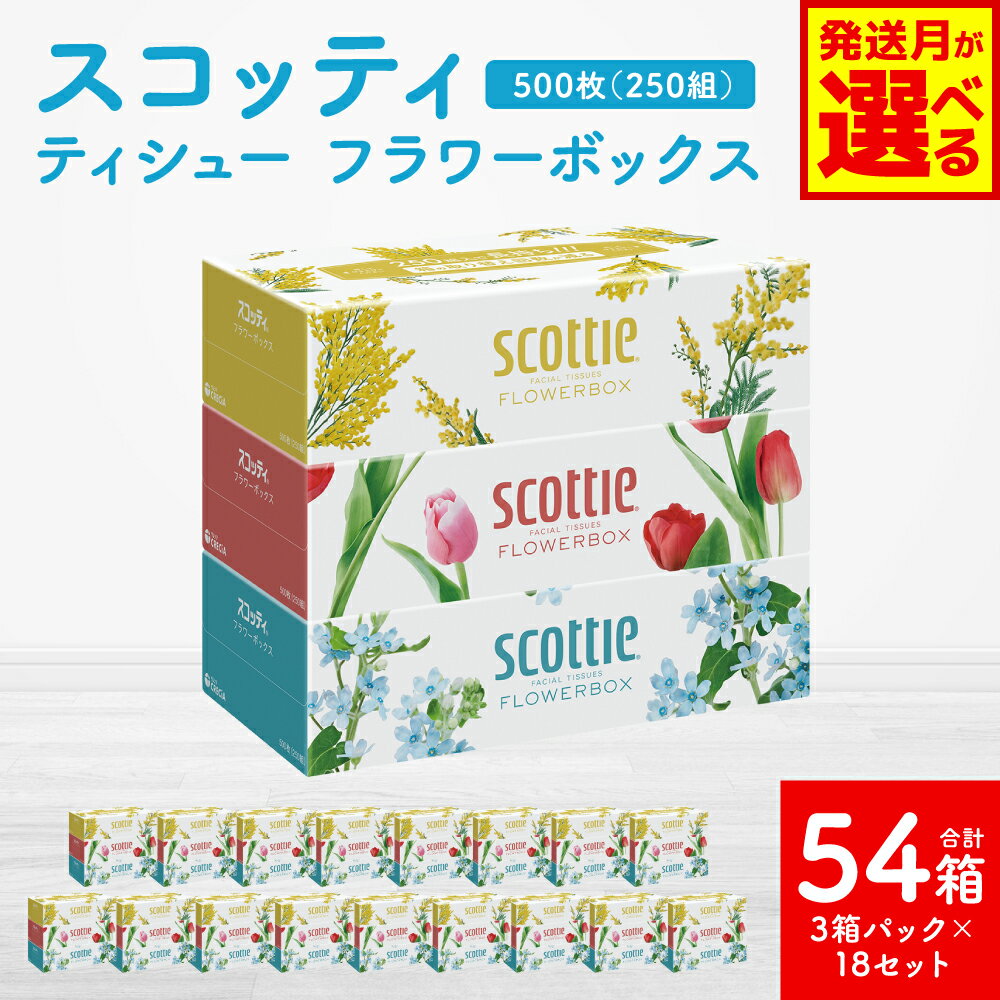 【ふるさと納税】 【選べる発送月】 【スコッティ】 ティシュー フラワーボックス 250組（3箱パック×18 合計54箱） ティッシュ 日用品 生活必需品 送料無料