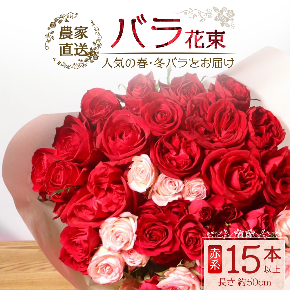 【人気の春・冬薔薇をお届け】≪12月20日～2026年1月8日 日付指定不可≫ ばら農家直送 ！ バラ花束15本以上お届け(赤系) 【ギフト対応可】 TB-9│ローズ 新鮮 花 フラワー 花束 ばら 薔薇 バラ 誕生日 記念日 結婚祝い ギフト プレゼント お祝い 贈り物 贈答 鹿児島県 南大隅町 富田バラ園