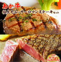 【ふるさと納税】あか牛極上ヒレ＆サーロインステーキセット あか牛ヒレステーキ150g あか牛サーロインステーキ200g×2枚 あか牛のたれ200ml付き お肉 牛肉 サーロイン ヒレ 冷凍 熊本県産 九州産 国産 送料無料