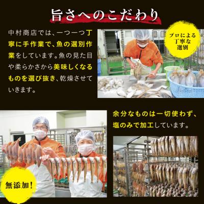 ふるさと納税 鳥取市 山陰のおすすめ干物セット【中村商店】 |  | 02