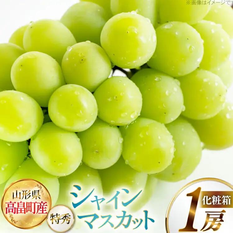 【期間限定発送】 シャインマスカット 特秀 1房 化粧箱入り [JA山形おきたま 山形県 高畠町 tk06ays870029]