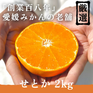 創業百八年 愛媛みかんの老舗【せとか2kg】家庭用【新口農園】【C70-8】_美味しいみかん 美味しいミカン おいしいみかん おいしいミカン 人気のみかん 人気のミカン 国産みかん 国産ミカン 八幡浜みかん 八幡浜ミカン 甘いみかん 甘いミカン あまいみかん アマイミカン 果物みかん くだものみかん 果物ミカン クダモノミカン 美味しいせとか 美味しいセトカ おいしいせとか おいしいセトカ 人気のせとか 人気のセトカ 国産せとか 国産セトカ 八幡浜せとか 八幡浜セトカ 甘いせとか 甘いセトカ あまいせとか 