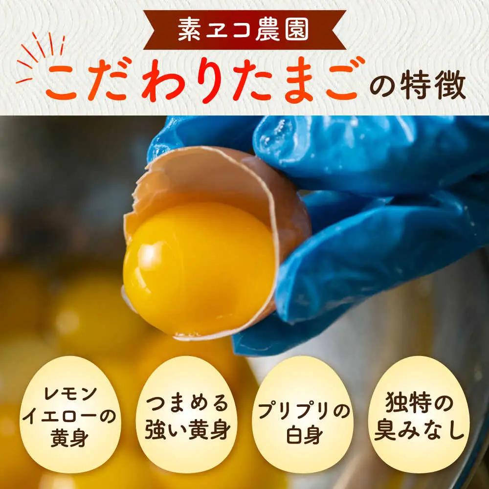卵の雫（プレーン）4粒×66袋 / 佐賀県 / 素ヱコ農園 [41AEAA015]