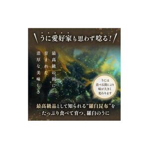 エゾバフンウニ　折うに(特上)120×1枚