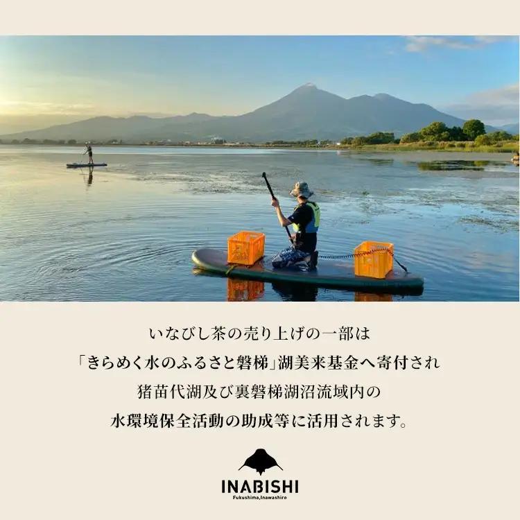 【定期便10回】お茶 猪苗代湖産ひし茶(お徳用) ティーバッグ 茶 福島 | 美容 健康 美肌 ポリフェノール 抗酸化作用 ビタミン 人気 福島県 猪苗代