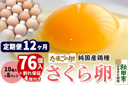 《定期便12ヶ月》 たまごの樹 純国産鶏種 卵『さくら』76個+割れ保証4個付き（10個入×8パック）
